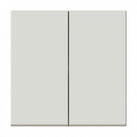 NIESSEN 2CLA881100A6201 2CLA881100A6201 8811 DN NIESSEN Dual switch-switch key DN